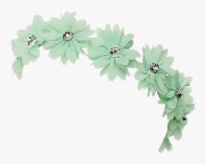 Télécharger photo green flower crown png