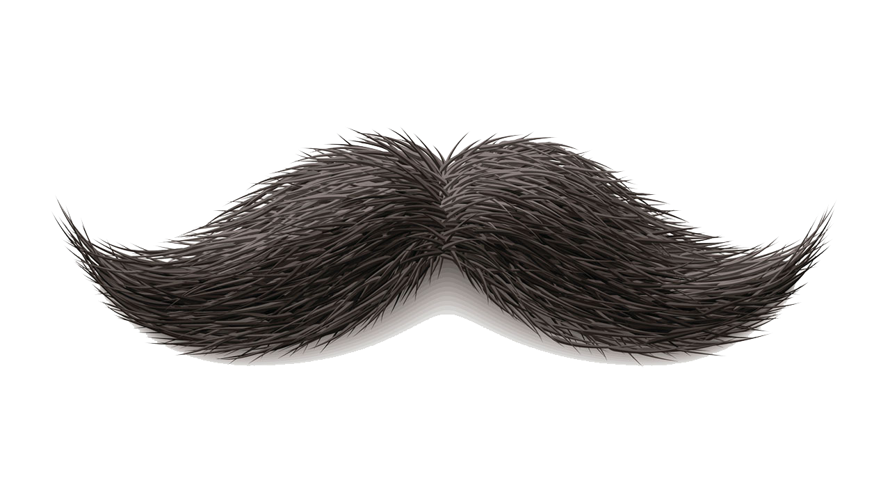 Télécharger photo real moustache png