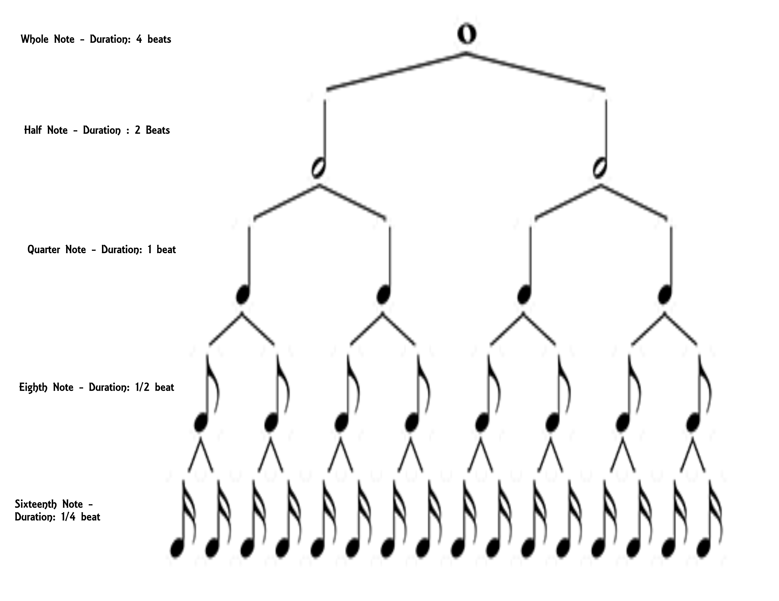 Télécharger photo rhythm tree diagram png