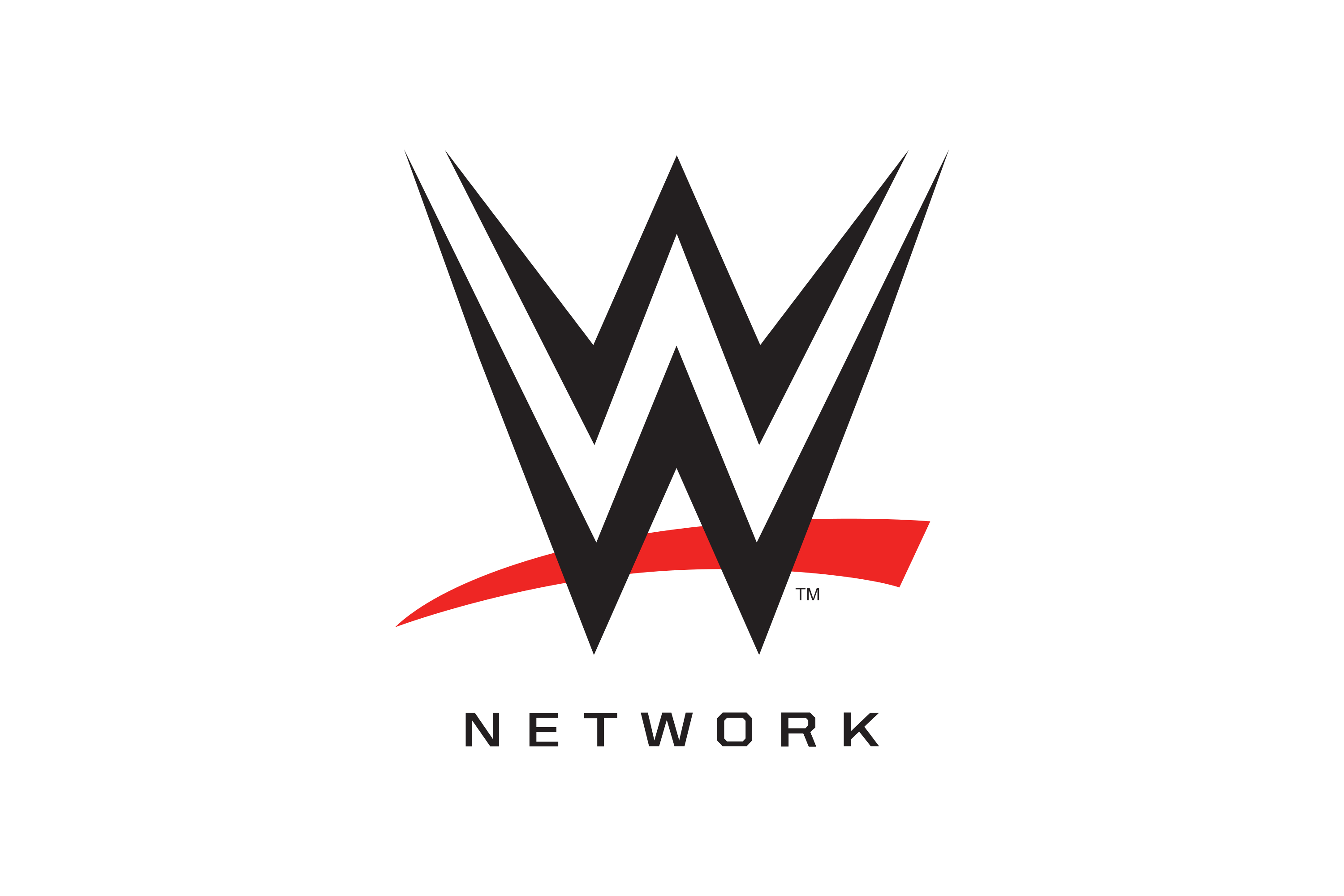 Télécharger photo wwe network logo png